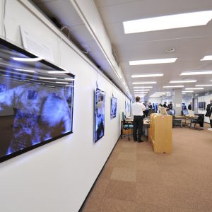 3D photo exhibition during the Launch of the International Perspectives on Spinal Cord Injury on the International Day of People with disability, WHO Headquarters, Geneva. Tuesday 3 December. Photo by Violaine Martin